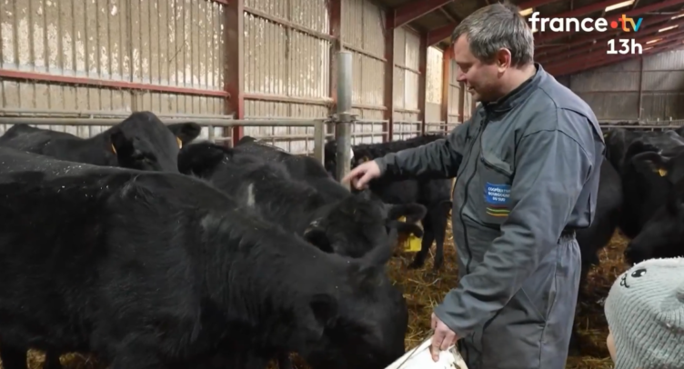Témoignage | Nicolas Ravat passe de 60 à 90 vaches | JT de de France 2