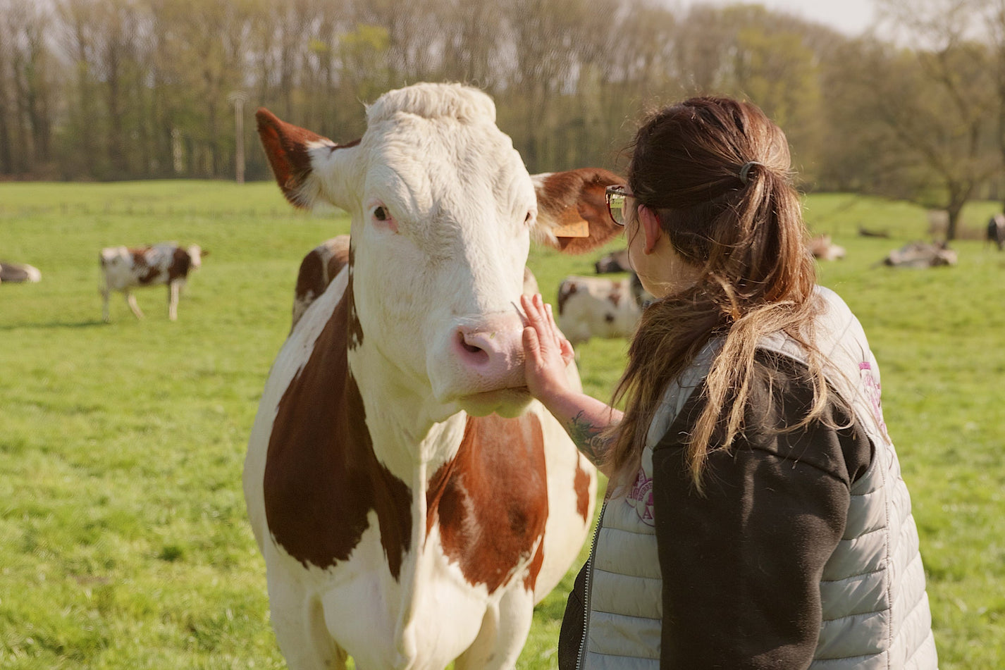 AGRI79 - MAI 2026 : Louer ses génisses pour plus de fexibilité dans sa trésorerie